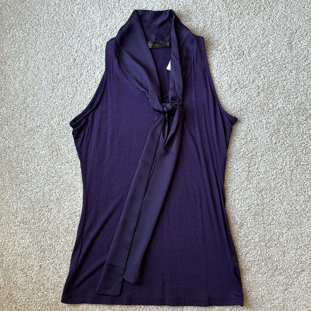 The Limited Dark Plum Top